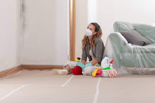 Reliable Mold Cleanup contractor in Lumberville, PA by WQB Mold Removal